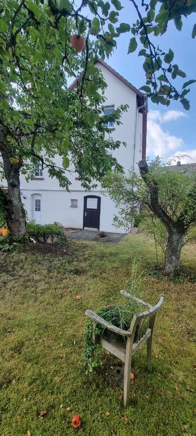 Ferienhaus Schuldienersch Биденкопф Екстериор снимка